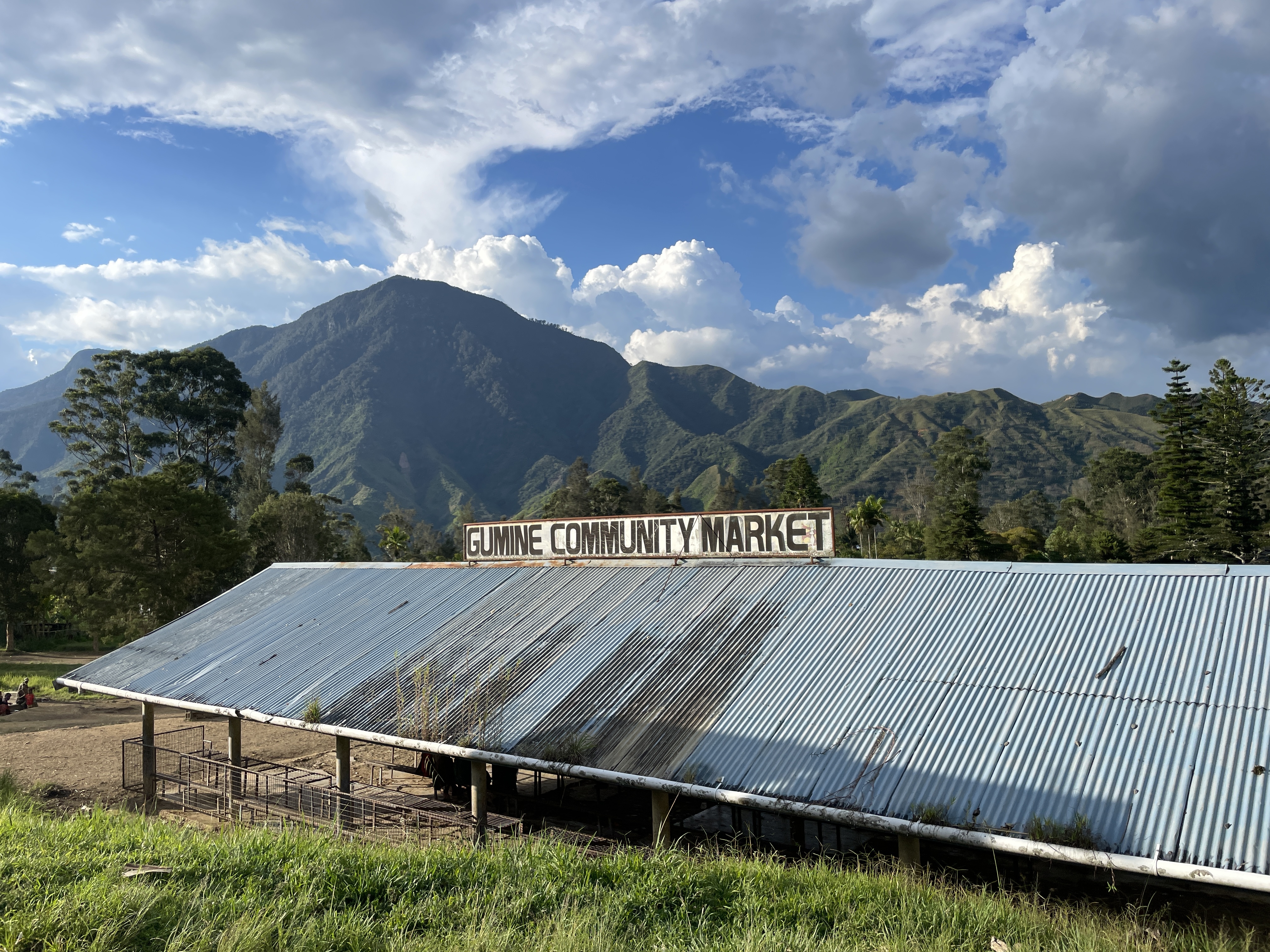 Local market in Simbu Province PNG