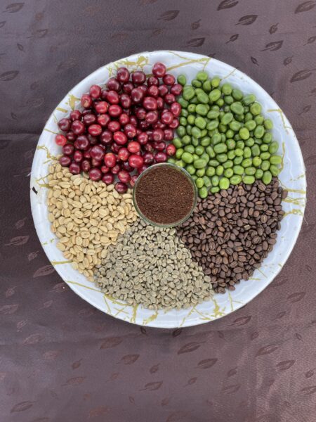 Coffee in Simbu Province Papau New Guinea