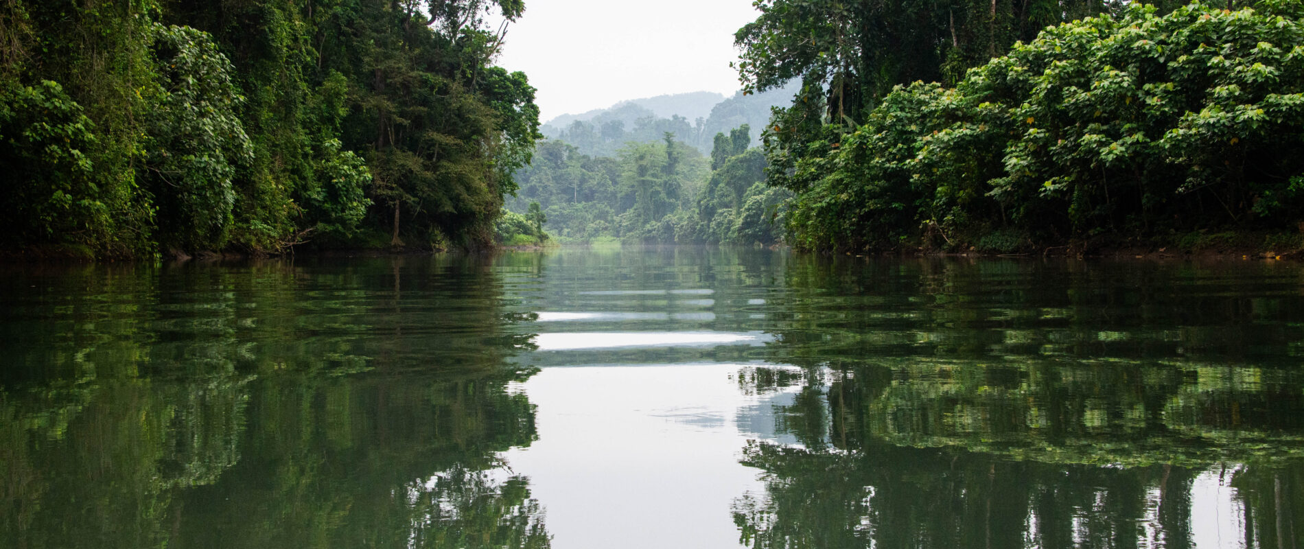 Kolombangara river